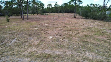 0 SE 53rd Ln, Morriston, FL 32668 - photo 3