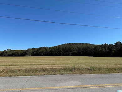 0 Old Six Mile Rd unit 21437335, Somerville, AL 35670 - photo 3