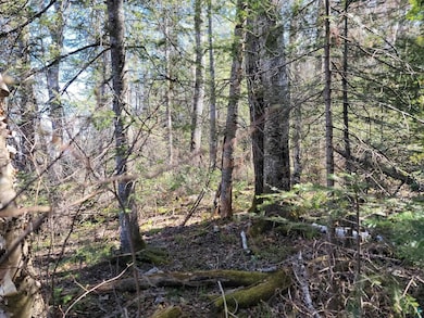 View of undeveloped land