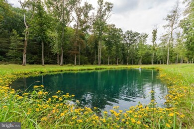 4077 Cherry Run Rd, Hedgesville, WV 25427 - photo 7