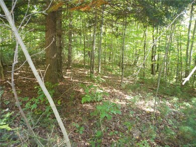 Lot / Land
