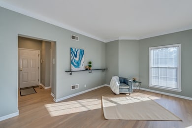 243 Box Car Ave, Naperville, IL 60540 - photo 5