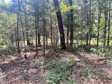 131 Bud Ates Rd, Pollock, LA 71467 - photo 4