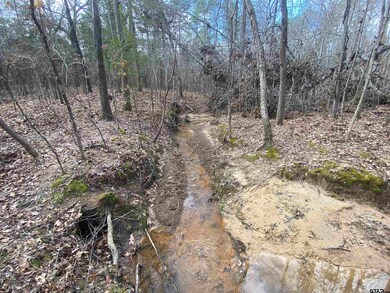 15292 Big Oak Bay Rd, Tyler, TX 75707 - photo 6