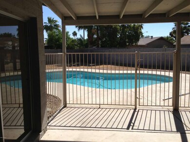 13230poolfromkitchenwindow