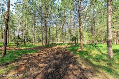 36524 E Canyon Rd, Cataldo, ID 83810 - photo 2