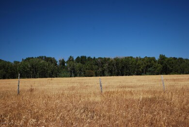 Leigh Creek corridor
