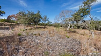 25102 Miranda Ridge, Fair Oaks, TX 78006 - photo 5