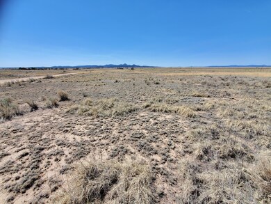 149a W Harvest Way, Paulden, AZ 86334 - photo 6