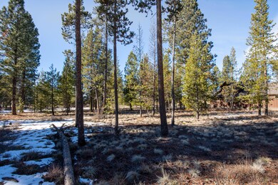 311 Trailmere Circle-3