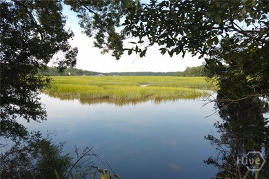 2061 Belle Island Rd, Richmond Hill, GA 31324 - photo 7