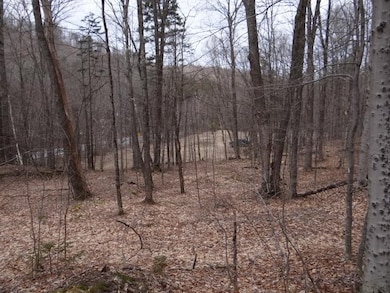 0 South Rd, Woodstock, VT 05071 - photo 7