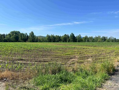 View from northern corner of property looking south