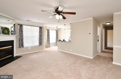 11006 Koman Cir unit 201, Manassas, VA 20109 - photo 6