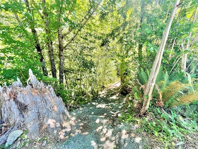 80 W Salmonberry Dr, Elma, WA 98541 - photo 2