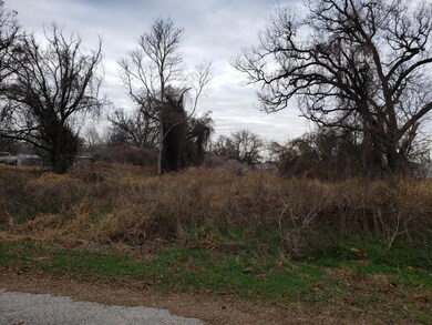 146 Pawnee Trail, Horseshoe Bend, TX 76087 - photo 4