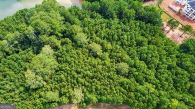 4212 Giverney Blvd, Fairburn, GA 30213 - photo 5