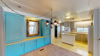 162-Coyote-03032025_154642