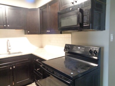 9729 Ridgeland Ave unit 102, Oak Lawn, IL 60453 - photo 5