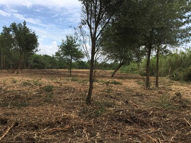 0000 Childs, Alvin, TX 77511 - photo 5