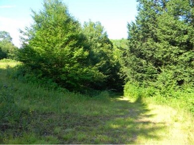 0 Lovejoy Brook Rd unit 4173987, Ludlow, VT 05149 - photo 7