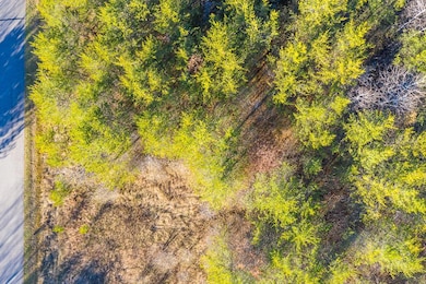 L11, B1 Meadow Ct, Baxter, MN 56425 - photo 6