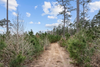 9422 Farm To Market 62, Barnum, TX 75939 - photo 2