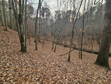 0 Garnet Dr unit 420452, Ellijay, GA 30540 - photo 5