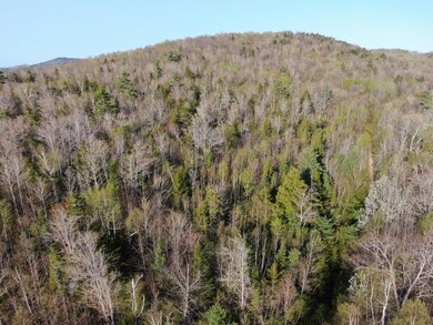 U04-003 Verril Rd, Hanover, ME 04237 - photo 5