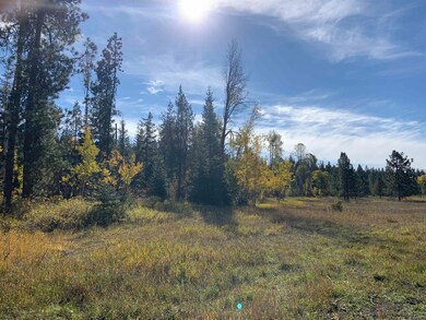 360 Chuck Wagon Ln, Cusick, WA 99119 - photo 5