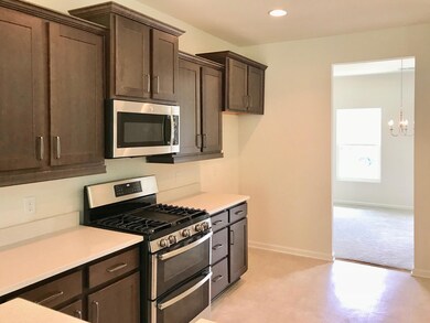 Beautiful Kitchen