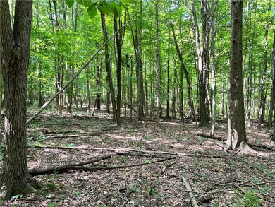 0 Ruff Rd unit 4496008, West Salem, OH 44287 - photo 3