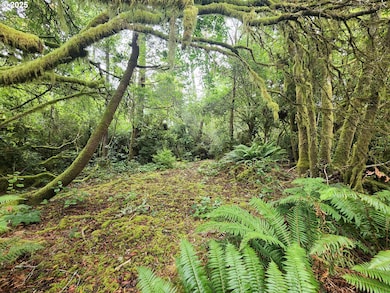 0 Sand Dune Park Dr unit TL 800 254608161, Florence, OR 97439 - photo 6