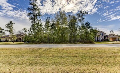 5470 Harvest Oak Landing Dr, Spring, TX 77386 - photo 4