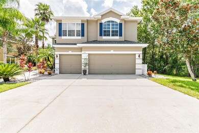 568 Lakewood Dr, Oldsmar, FL 34677 - photo 2