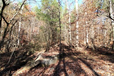 40+/- AC LOT 6 Hartness Rd, Clover, SC 29710 - photo 7