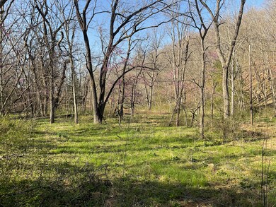 000 Brush Creek Rd, Noel, MO 64854 - photo 5