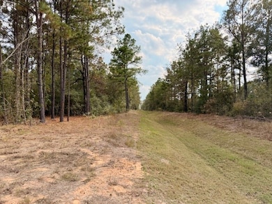 7629 Trinity Pines Dr, Montgomery, TX 77316 - photo 2