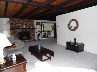 45 Indian Trail Rd, Jim Thorpe, PA 18229 - photo 4