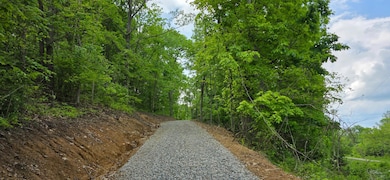 32325 Red Hill Rd unit (SeclusionCabin at B, Vinton, OH 45686 - photo 2