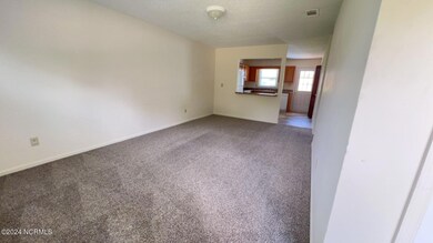 1796 Burgaw Hwy, Jacksonville, NC 28540 - photo 3