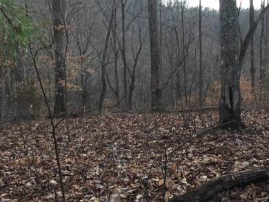 Flat area to build