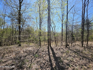 170 Bluff View Rd, New Tazewell, TN 37825 - photo 2