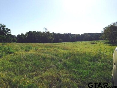 00000 County Road 2298, Tyler, TX 75707 - photo 4