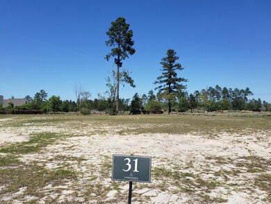 1334 Cross Water Cir, Leland, NC 28451 - photo 4