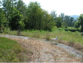 Gravel Driveway