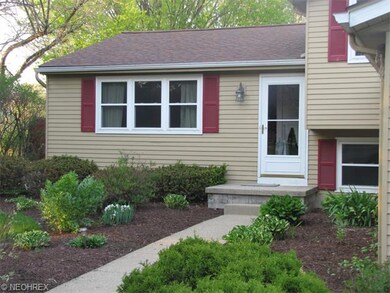 beautiful landscaping