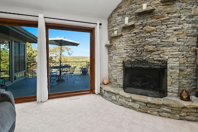 Fireplace - gas