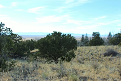 4338 Ridgecrest Ct, Crestone, CO 81131 - photo 7