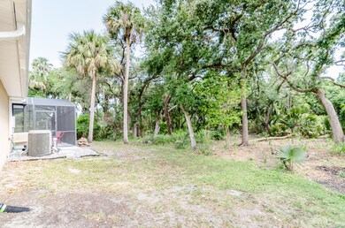 Back Yard View 1